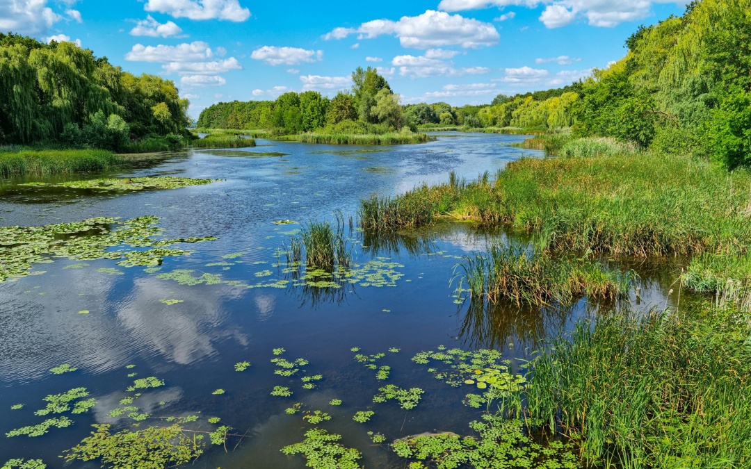 Monitoring Water Quality Using Satellite Data